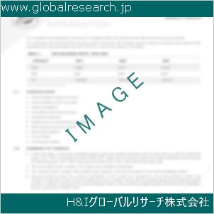 グローバルリサーチ調査資料のイメージ